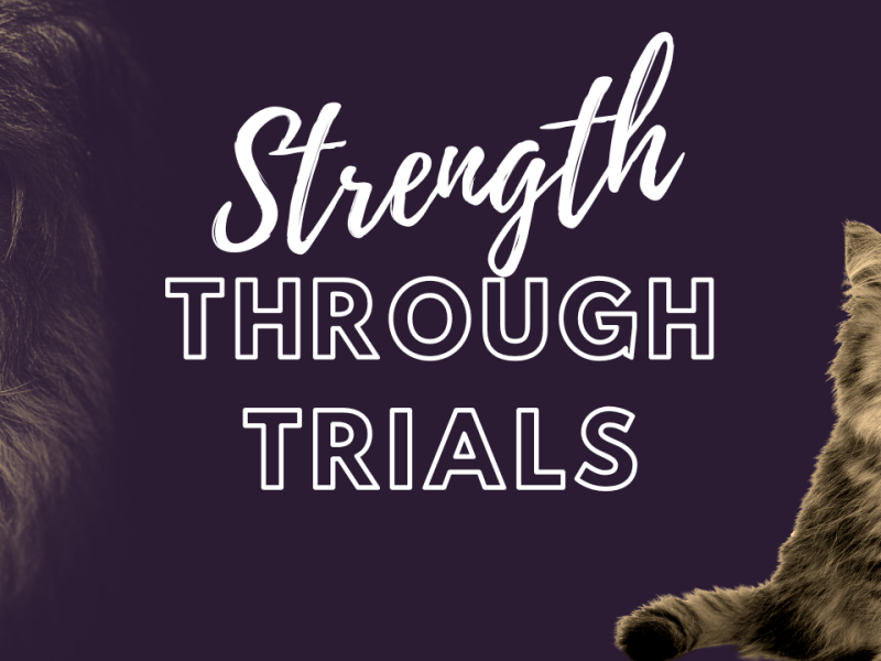 Strength from the&nbsp;Shepherd