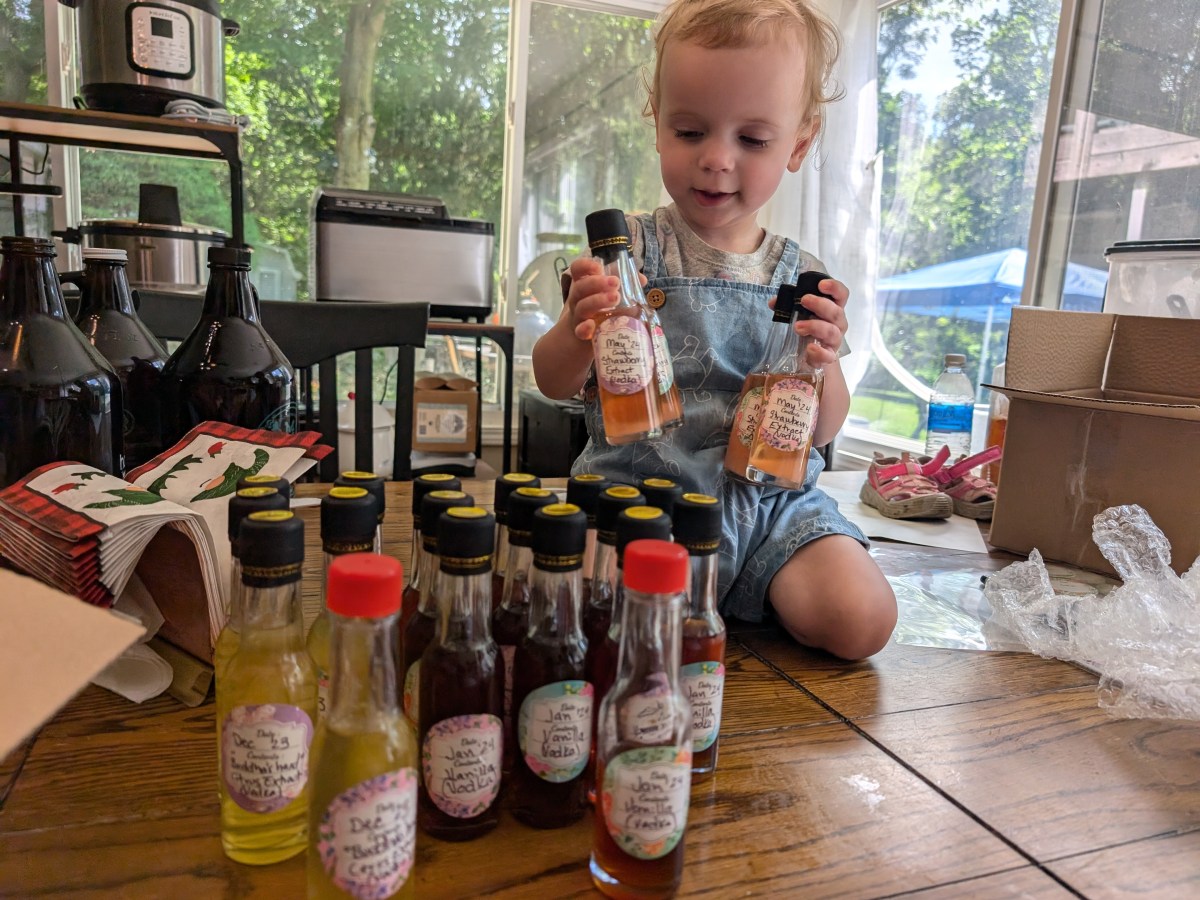 Fermenting and other Homestead&nbsp;things